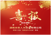 喜报！湖南米奇人力资源有限公司获第十三批“创新型中小企业”称号