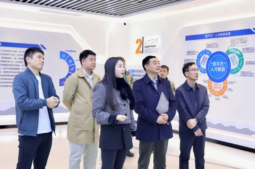 沪湘共话人力资源服务产业园高质量发展，深化区域协同与模式创新