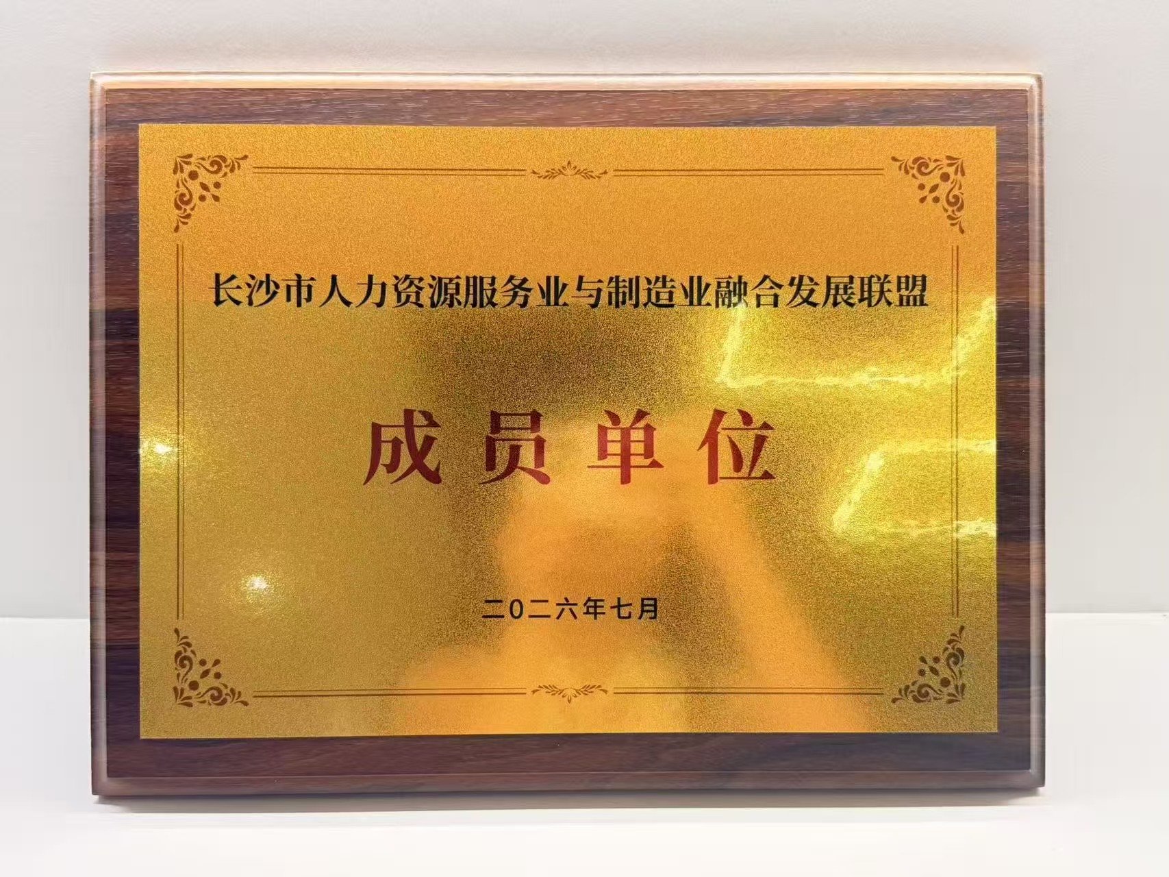 长沙市人力资源服务业与制造业融合发展联盟成员单位